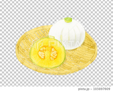 半分にカットした白いかぼちゃ（伯爵かぼちゃ）　夏野菜の手描き水彩イラスト素材 103897609