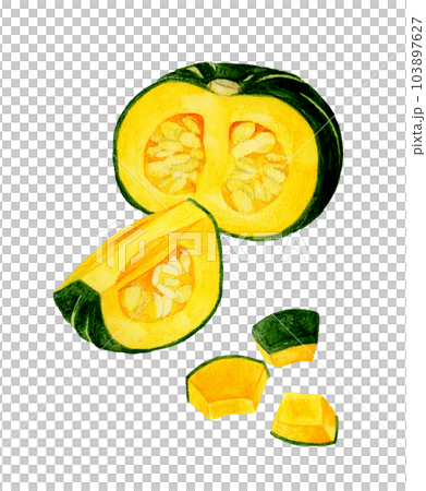 Cut western pumpkin Hand-painted watercolor illustration material of summer vegetables 103897627