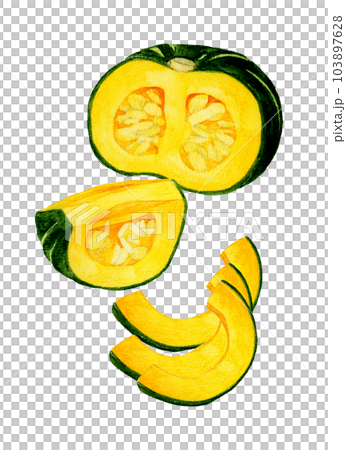 カットした西洋かぼちゃ　夏野菜の手描き水彩イラスト素材 103897628