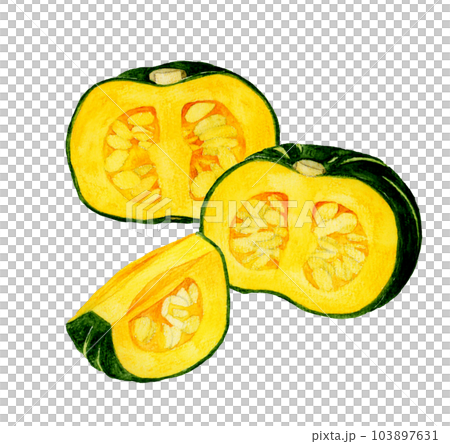 夏季蔬菜切西洋南瓜手繪水彩插畫素材 103897631