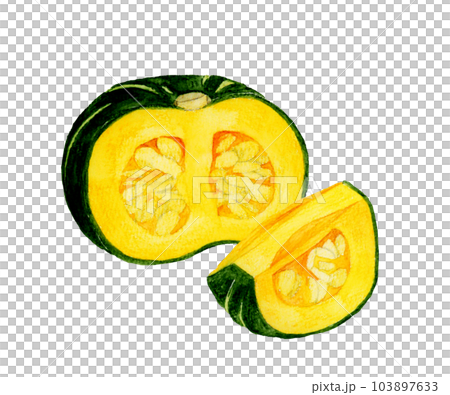 半分&1/4にカットした西洋かぼちゃ 夏野菜の手描き水彩イラスト素材 半分&1/4にカットした西洋かぼちゃ 夏野菜の手描き水彩イラスト素材 103897633