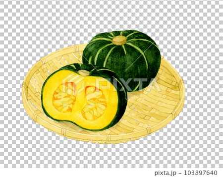 竹漏上的西式南瓜夏季蔬菜手繪水彩插畫素材 103897640