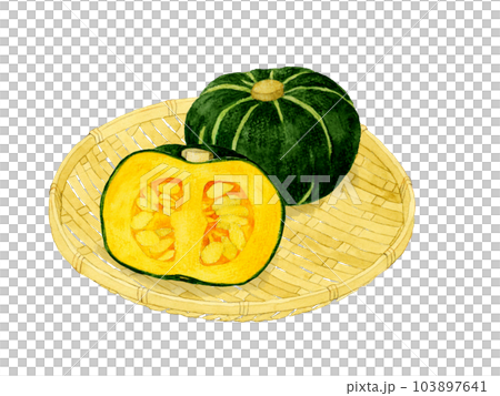 竹漏上的西式南瓜夏季蔬菜手繪水彩插畫素材 103897641