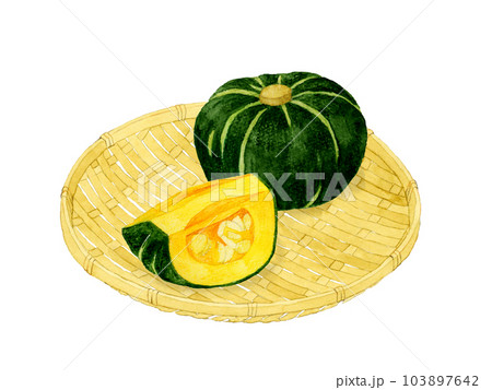 竹ざるに乗った西洋かぼちゃ 夏野菜の手描き水彩イラスト素材 竹ざるに乗った西洋かぼちゃ 夏野菜の手描き水彩イラスト素材 103897642
