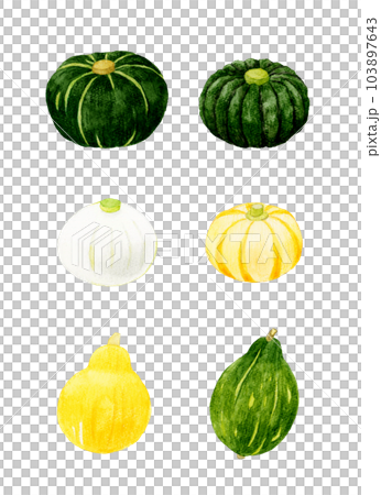 一套可食用的南瓜夏季蔬菜手繪水彩插畫素材合集 103897643