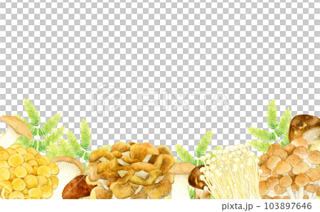色々な種類の食べられるきのこのフレーム　夏野菜の手描き水彩イラスト背景素材 103897646