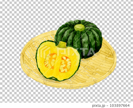 日本南瓜切成兩半蔬菜手繪水彩插畫素材 日本南瓜切成兩半蔬菜手繪水彩插畫素材 103897664