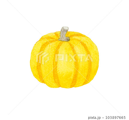 黄色いおもちゃかぼちゃ　野菜の手描き水彩イラスト素材 103897665
