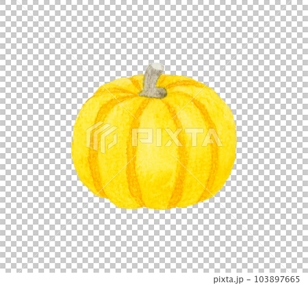 Yellow toy pumpkin Vegetable hand-painted watercolor illustration material 103897665