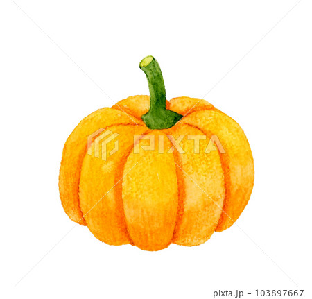 オレンジ色のおもちゃかぼちゃ（ハロウィンカボチャ）　野菜の手描き水彩イラスト素材 103897667