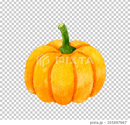 オレンジ色のおもちゃかぼちゃ（ハロウィンカボチャ）　野菜の手描き水彩イラスト素材 103897667