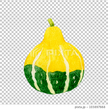 Yellow and green toy pumpkin Vegetable hand-painted watercolor illustration material Yellow and green toy pumpkin Vegetable hand-painted watercolor illustration material 103897668