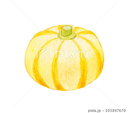プッチィーニ 野菜の手描き水彩イラスト素材 プッチィーニ 野菜の手描き水彩イラスト素材 103897670