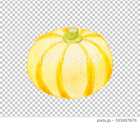 プッチィーニ 野菜の手描き水彩イラスト素材 プッチィーニ 野菜の手描き水彩イラスト素材 103897670