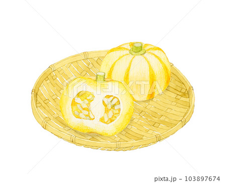 半分にカットしたプッチィーニ　野菜の手描き水彩イラスト素材 103897674