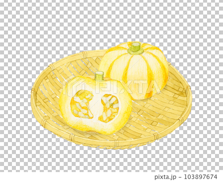 半分にカットしたプッチィーニ　野菜の手描き水彩イラスト素材 103897674