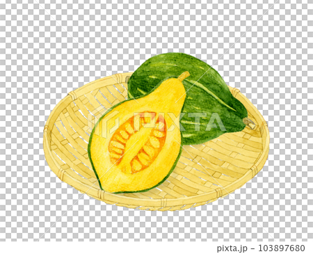 Loron pumpkin cut in half Vegetable hand-painted watercolor illustration material Loron pumpkin cut in half Vegetable hand-painted watercolor illustration material 103897680