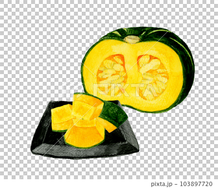 黑盤南瓜（水煮南瓜）夏季蔬菜手繪水彩插畫 103897720