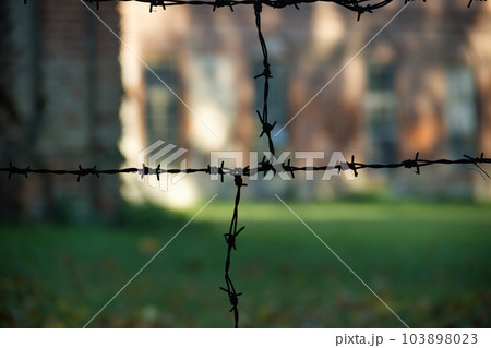 Silhouette of rusty barbed wire on blurred background 103898023