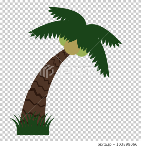 ヤシの木のフラットベクターイラスト ヤシの木のフラットベクターイラスト 103898066
