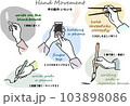 手の動作いろいろ 文字を書く タップする 箸を持つ イラスト セット 103898086