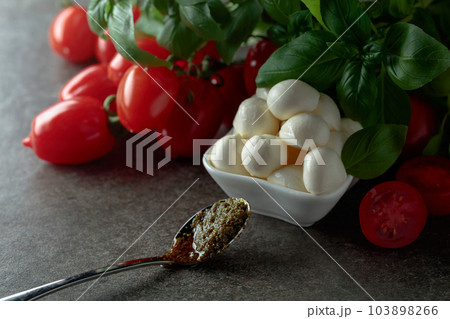 Mozzarella cheese with basil, pesto sauce, and tomatoes. Mozzarella cheese with basil, pesto sauce, and tomatoes. 103898266