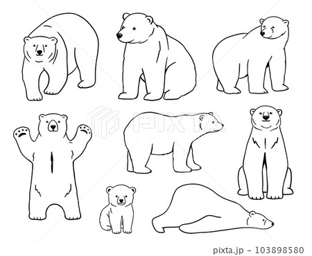 5,045 Animal Outline Drawings Stock Photos, High-Res Pictures, and Images -  Getty Images