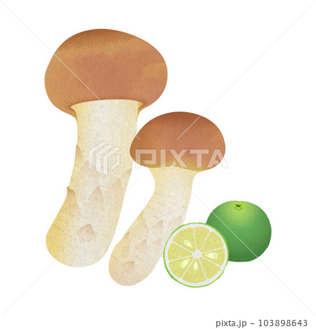 松茸とすだち 秋の味覚 103898643