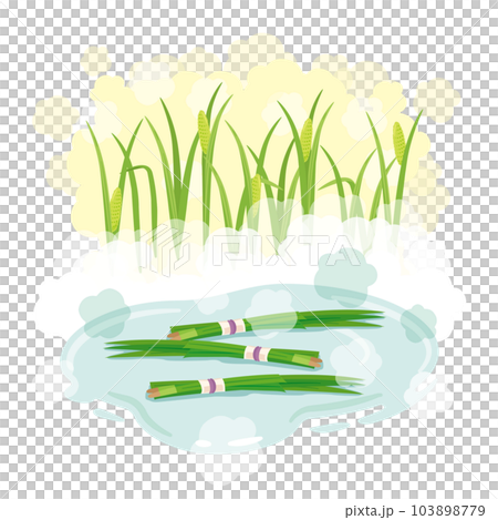 Shobuyu with background 103898779