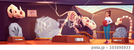 Woman guide in museum with fossil dinosaur vector 103898933