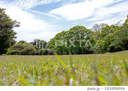 青空と緑の草原 青空と緑の草原 103899084