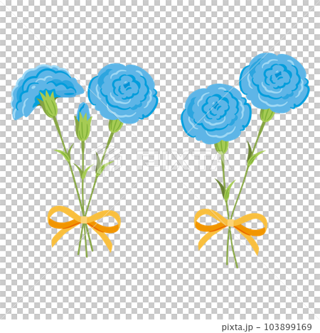 青いカーネーション　花束2 103899169