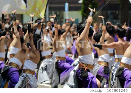 2023 YOSAKOIソーラン祭り 103901246