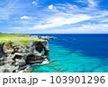 万座毛 103901296