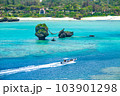 万座毛 103901298