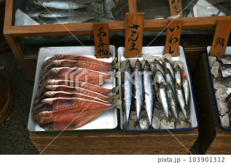 魚屋の魚 103901312