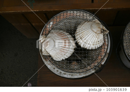 魚屋のはまぐり 魚屋のはまぐり 103901639