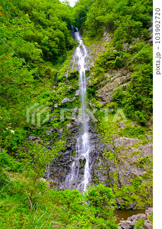 物静かな印象の十二滝（奈良県十津川村） 103902720
