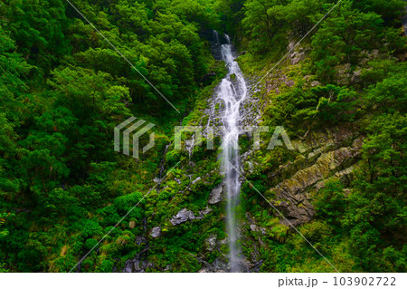 物静かな印象の十二滝（奈良県十津川村） 103902722