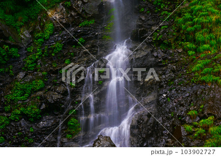 物静かな印象の十二滝（奈良県十津川村） 103902727