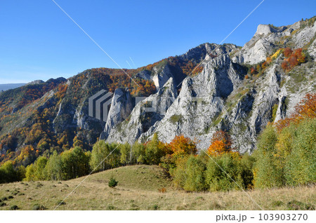 Autumn fall. Colorful autumn forest landscape in the mountains 103903270