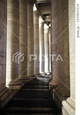 Colonnades of Bernini in the San Pietro square 103903314