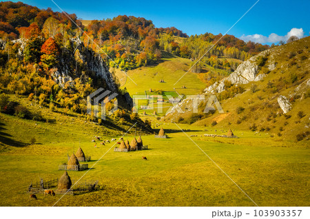 Autumn landscape with colorful forest 103903357