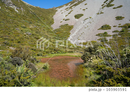 【ニュージーランド】マウントクック・Red tarns trail 103903591