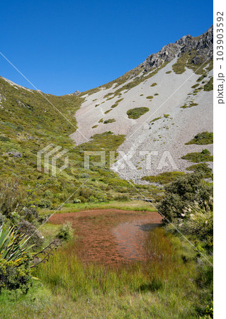 【ニュージーランド】マウントクック・Red tarns trail 103903592