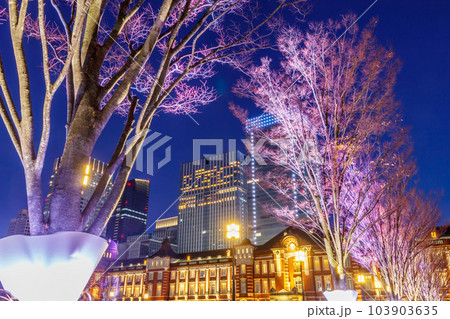 【東京の都市風景】東京ミチテラス 【東京の都市風景】東京ミチテラス 103903635