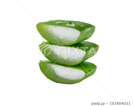 Fresh Aloe vera slice with aloe vera gel drops isolated on white background. Aloe vera leaf slice for design of herbal medicine or skin care treatment. Fresh Aloe vera slice with aloe vera gel drops isolated on white background. Aloe vera leaf slice for design of herbal medicine or skin care treatment. 103904031