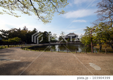 奈良東大寺大仏殿　観光名所 103904399