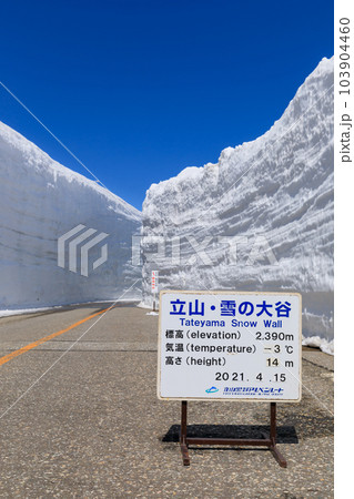 富山立山室堂_雪の大谷の絶景 103904460