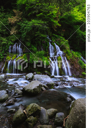 吐竜の滝 103904763